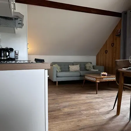 Bois De Rose Apartmán La Bresse